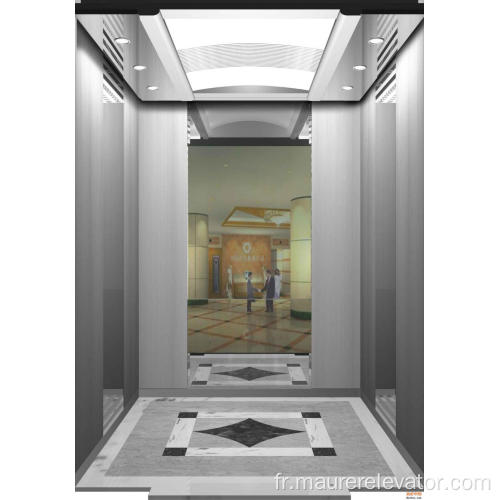 Ascenseur de passagers en acier inoxydable avec le meilleur prix